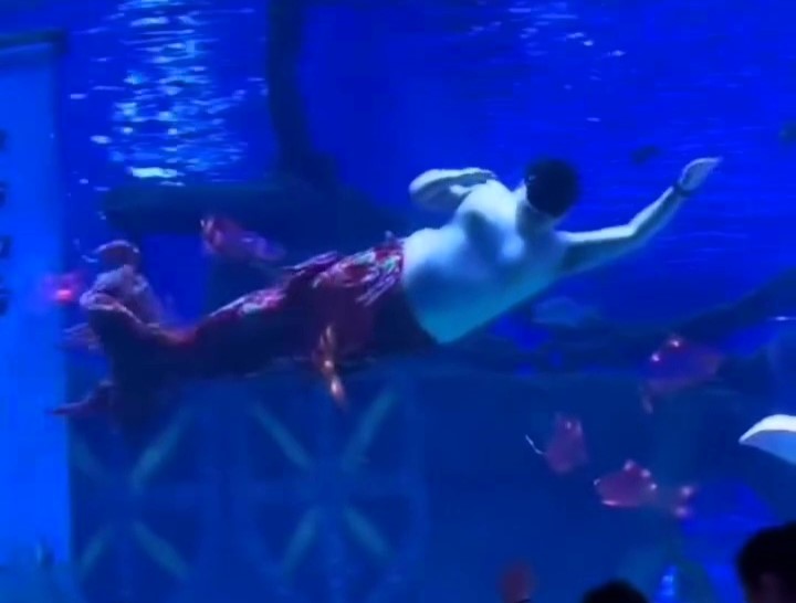 An aquarium trainer stepped in as a mermaid after his colleague fell ill, delighting tourists with his humorous performance at Zhonghe Dolphin Bay Ocean Park in China.