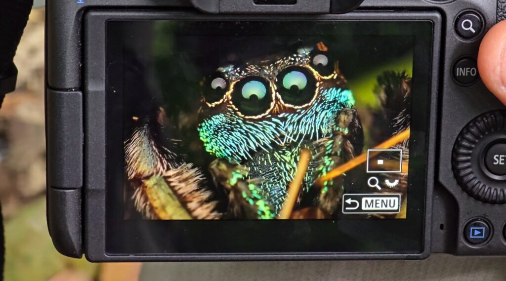 A photographer who once feared insects now captures rare bugs worldwide. His latest 17-day expedition in Indonesia led to incredible discoveries and unforgettable challenges.