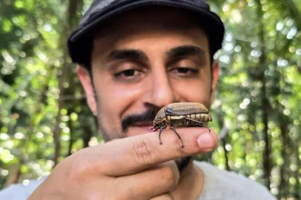 A photographer who once feared insects now captures rare bugs worldwide. His latest 17-day expedition in Indonesia led to incredible discoveries and unforgettable challenges.