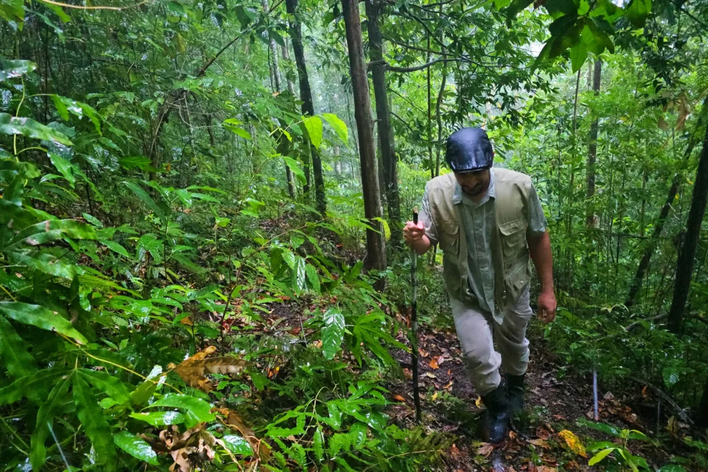 A photographer who once feared insects now captures rare bugs worldwide. His latest 17-day expedition in Indonesia led to incredible discoveries and unforgettable challenges.