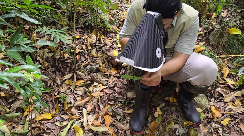 A photographer who once feared insects now captures rare bugs worldwide. His latest 17-day expedition in Indonesia led to incredible discoveries and unforgettable challenges.