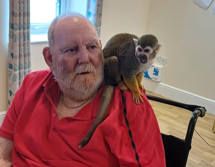 Care home residents delighted by surprise visit from playful squirrel monkeys - a heartwarming day filled with laughter, cuddles, and lifelong dreams coming true!