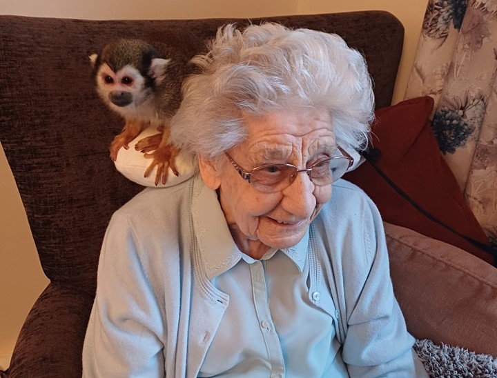 Care home residents delighted by surprise visit from playful squirrel monkeys - a heartwarming day filled with laughter, cuddles, and lifelong dreams coming true!