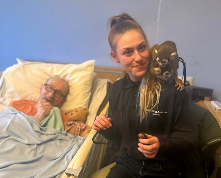 Care home residents delighted by surprise visit from playful squirrel monkeys - a heartwarming day filled with laughter, cuddles, and lifelong dreams coming true!