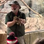 A zookeeper’s prank at Rainforest Zoo went viral after he tricked guests into thinking a ferret sprayed them with pee, leaving visitors in shock before bursting into laughter.