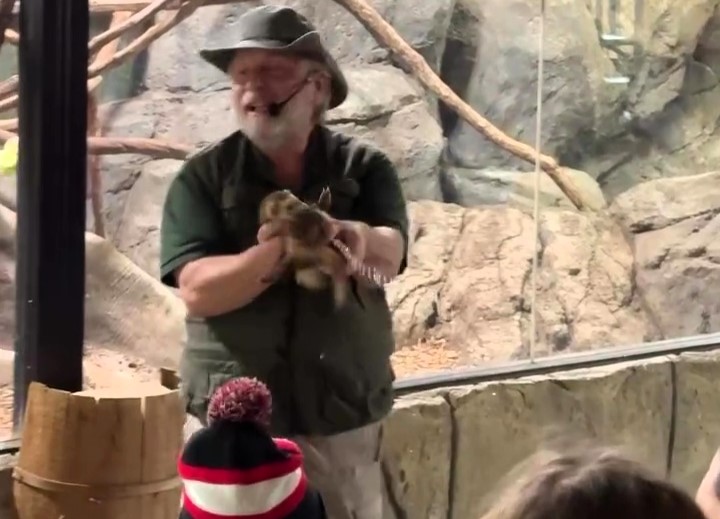 A zookeeper’s prank at Rainforest Zoo went viral after he tricked guests into thinking a ferret sprayed them with pee, leaving visitors in shock before bursting into laughter.