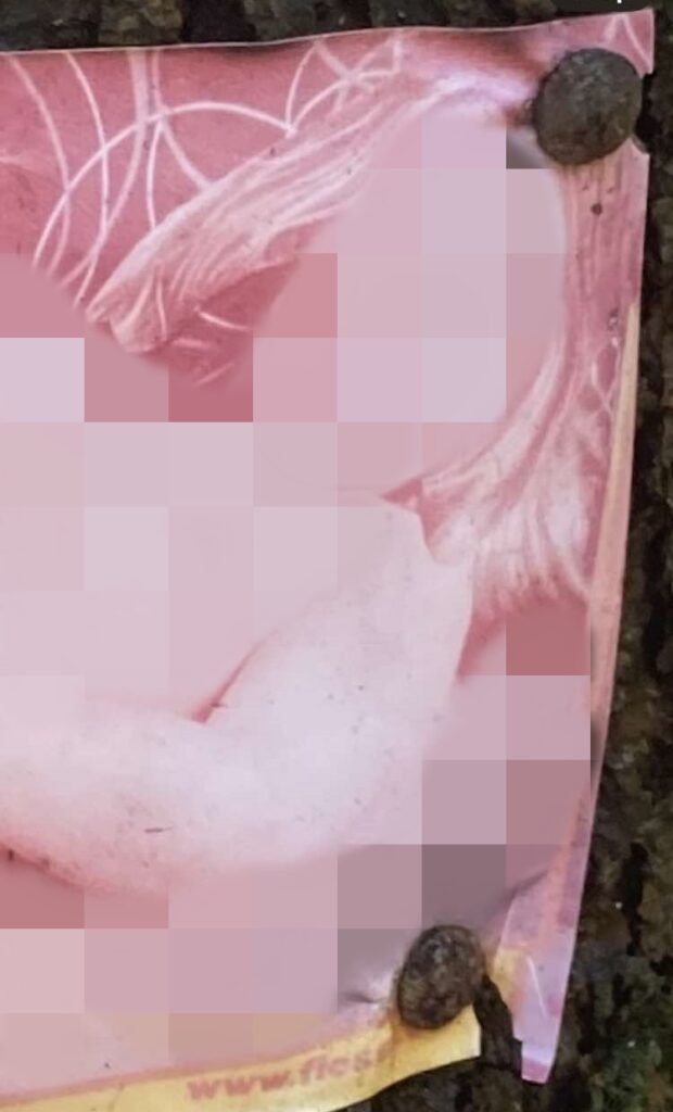 A couple was left stunned after discovering explicit photos nailed to a tree in a family-friendly woodland, sparking shock and confusion during their afternoon stroll.