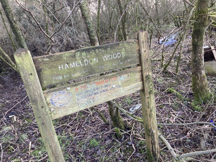 A couple was left stunned after discovering explicit photos nailed to a tree in a family-friendly woodland, sparking shock and confusion during their afternoon stroll.