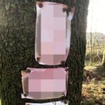 A couple was left stunned after discovering explicit photos nailed to a tree in a family-friendly woodland, sparking shock and confusion during their afternoon stroll.