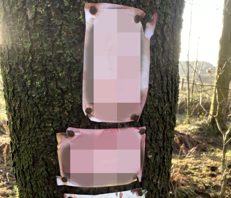 A couple was left stunned after discovering explicit photos nailed to a tree in a family-friendly woodland, sparking shock and confusion during their afternoon stroll.