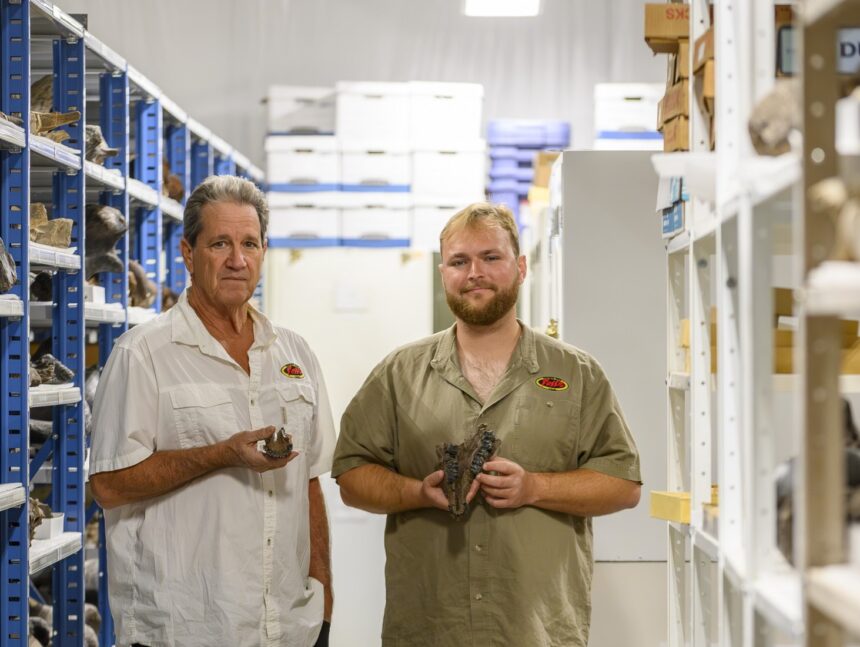 Divers in Florida discovered 500,000-year-old fossils of ancient horses, sloths, and armadillos in a sinkhole. The rare find offers insight into the Pleistocene era.