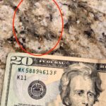 A man was stunned to spot the face of former US president Andrew Jackson on his kitchen worktop, comparing the granite pattern to the portrait on a $20 bill.