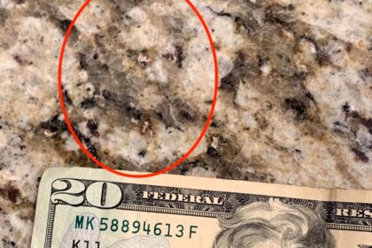 A man was stunned to spot the face of former US president Andrew Jackson on his kitchen worktop, comparing the granite pattern to the portrait on a $20 bill.