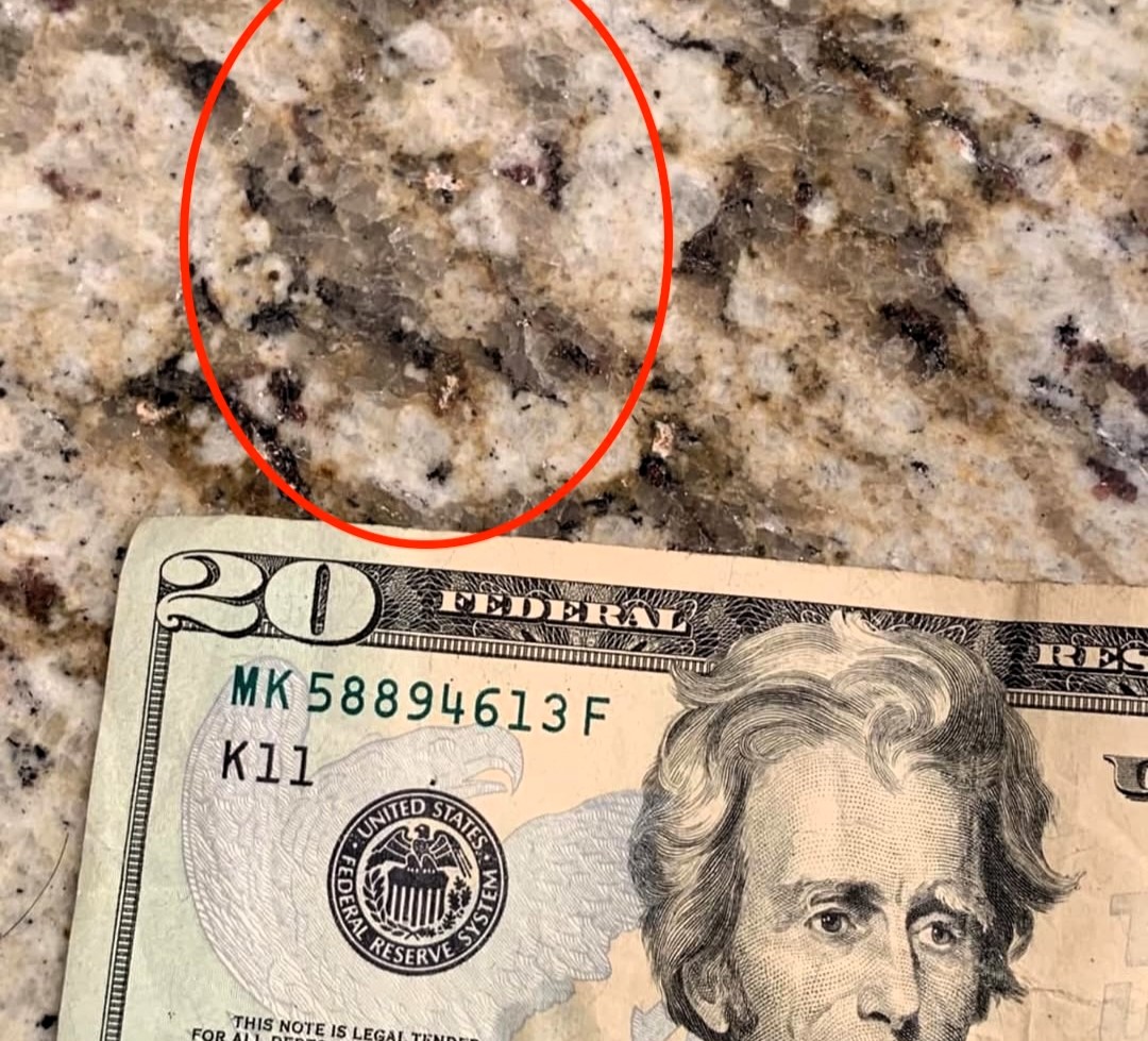 A man was stunned to spot the face of former US president Andrew Jackson on his kitchen worktop, comparing the granite pattern to the portrait on a $20 bill.