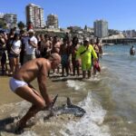 A beachgoer in Viña del Mar, Chile, fearlessly dragged a stranded porbeagle shark back to sea, sparking applause—while experts warn against handling marine animals.