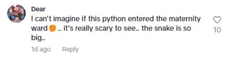 Social media comment on the post of A massive 7-foot python slithers into a hospital ward in Kuala Lumpur, leaving staff struggling to contain it as stunned locals react to the bizarre sighting.