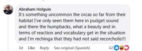 Social media comment on the post of A pod of killer whales was spotted playfully swimming alongside fishermen off Tiburón Island, Mexico. The viral video captured the orcas' curious and friendly encounter.