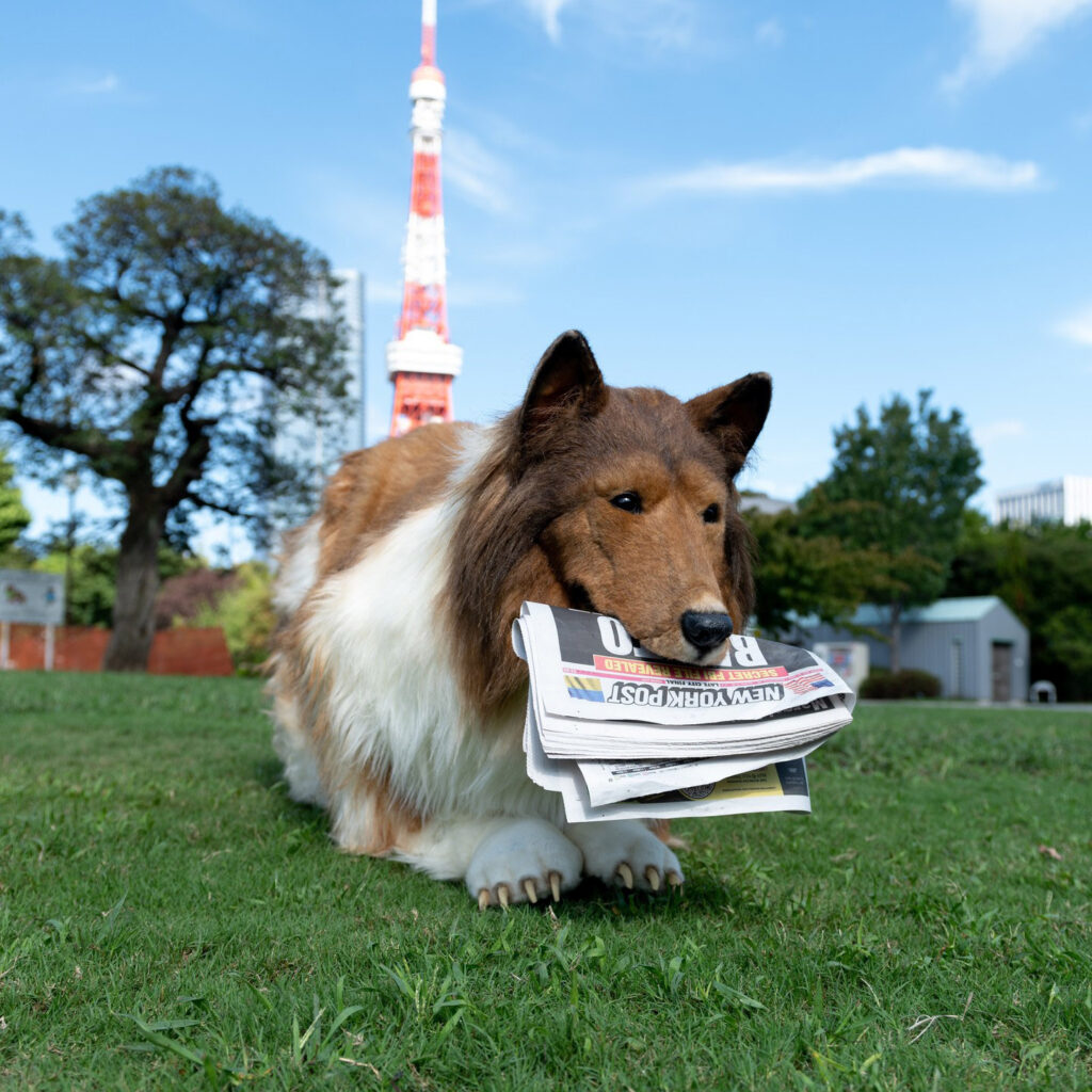 A man who spent £12,000 transforming into a border collie has launched TokoTokoZoo, a Tokyo-based experience where people can pay to live out their dream of becoming an animal.