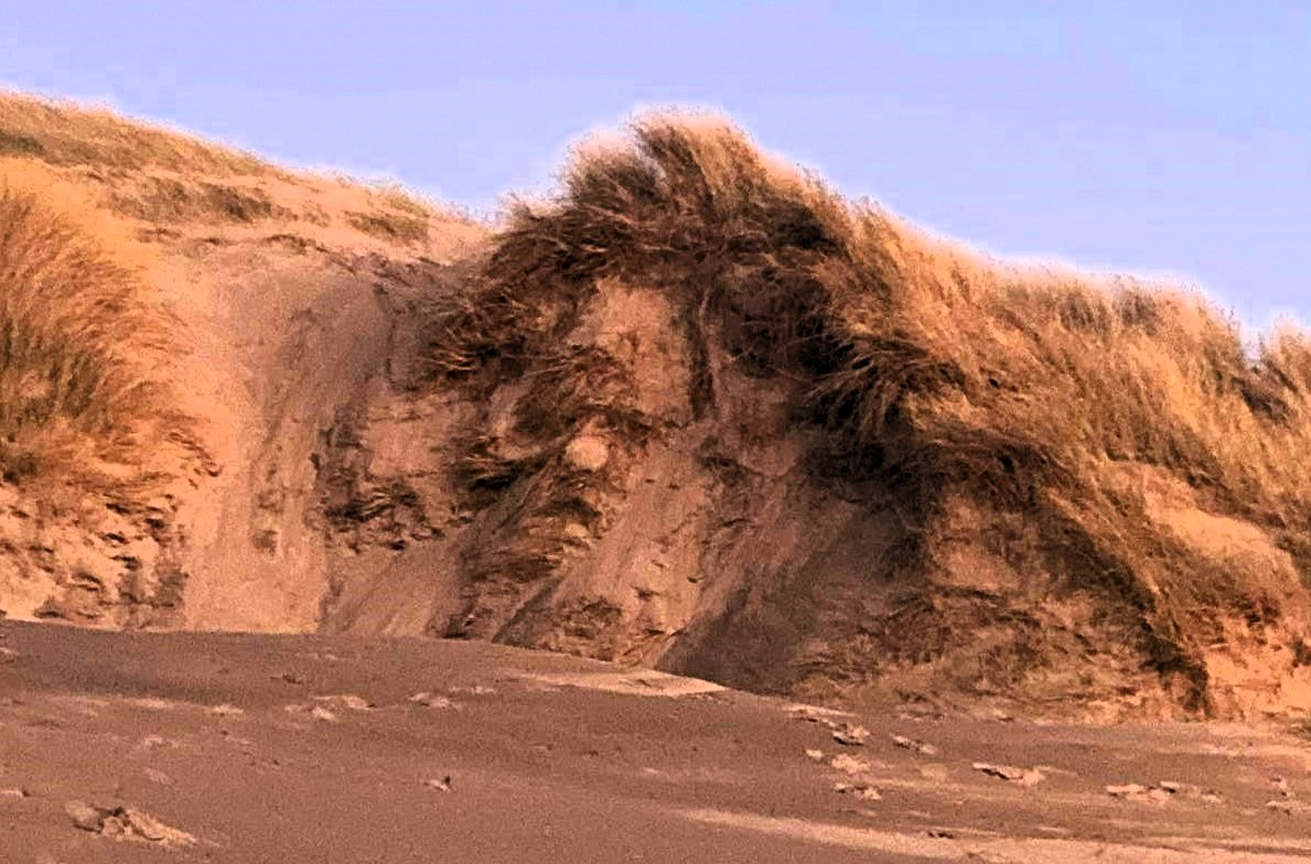 A mysterious giant face has appeared on a Welsh dune, sparking speculation of Banksy’s work or a natural phenomenon, leaving locals baffled and intrigued.