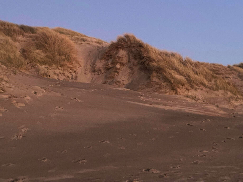 A mysterious giant face has appeared on a Welsh dune, sparking speculation of Banksy’s work or a natural phenomenon, leaving locals baffled and intrigued.