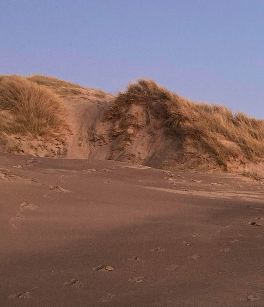 A mysterious giant face has appeared on a Welsh dune, sparking speculation of Banksy’s work or a natural phenomenon, leaving locals baffled and intrigued.