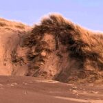 A mysterious giant face has appeared on a Welsh dune, sparking speculation of Banksy’s work or a natural phenomenon, leaving locals baffled and intrigued.