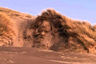 A mysterious giant face has appeared on a Welsh dune, sparking speculation of Banksy’s work or a natural phenomenon, leaving locals baffled and intrigued.