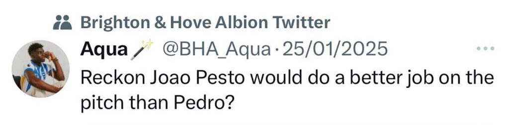 Social media comment on the post of Brighton’s Village Pizza Kitchen launches ‘Joao Pesto’ pizza, named after Joao Pedro, at the Amex Stadium for £6.50 - sparking mixed reactions from Seagulls fans.