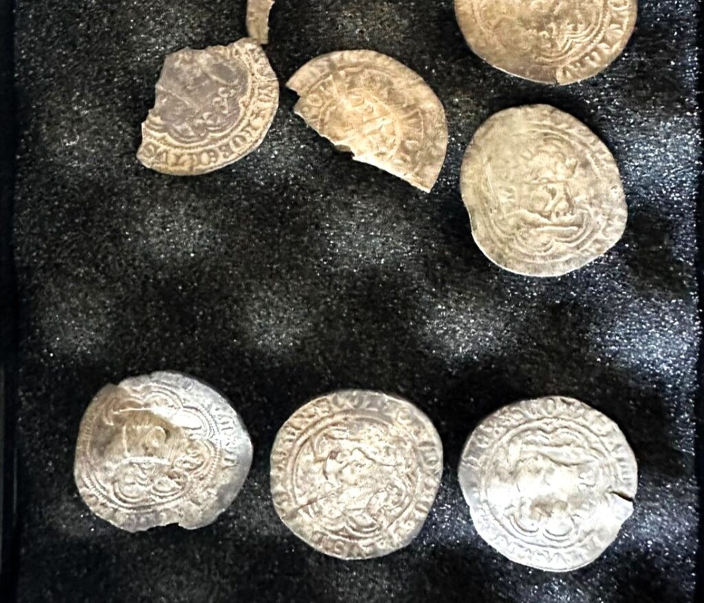 A treasure hunter unearths 11 rare silver coins from the reign of Scotland's Robert II on The Black Isle - a fascinating glimpse into medieval history.