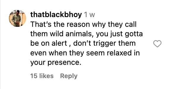 Social media comment on the post of A dad was left shocked after a deer knocked over his 14-month-old son at a national park. The viral video, with over 621 million views, has sparked debate on wildlife safety.