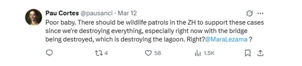 Social media comment on the post of A lost crocodile in Cancun was caught on camera trying to climb a fence to return to its nest - leaving locals concerned about wildlife barriers in the area.