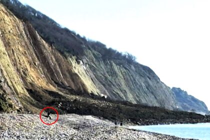 A reckless walker was spotted sitting beneath a dangerous cliff collapse at Haven Cliff, Devon, just after thousands of rocks fell – sparking coastguard warnings to stay away.