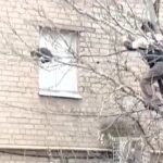 A volunteer firefighter in Ukraine fell from a tree while trying to rescue a stranded cat. The cat ran off unharmed, while onlookers laughed at the rescuer's misfortune.