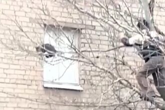 A volunteer firefighter in Ukraine fell from a tree while trying to rescue a stranded cat. The cat ran off unharmed, while onlookers laughed at the rescuer's misfortune.