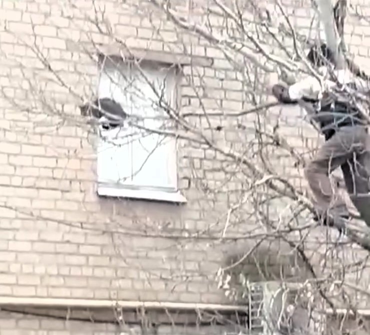 A volunteer firefighter in Ukraine fell from a tree while trying to rescue a stranded cat. The cat ran off unharmed, while onlookers laughed at the rescuer's misfortune.