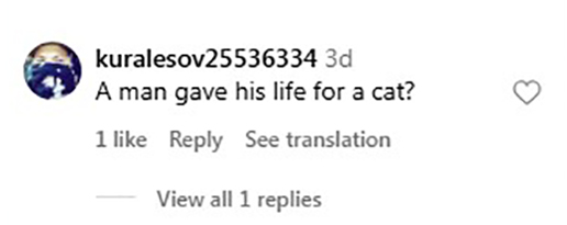 Social media comment on the post of A volunteer firefighter in Ukraine fell from a tree while trying to rescue a stranded cat. The cat ran off unharmed, while onlookers laughed at the rescuer's misfortune.