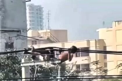 A fitness fanatic in India was spotted doing pull-ups on power lines, risking electrocution as he trained his abs – with the daring stunt going viral online.