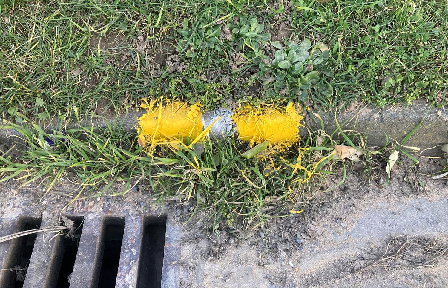 Residents were left baffled after workmen painted over weeds while marking double yellow lines in Kent, sparking criticism over their lack of effort.