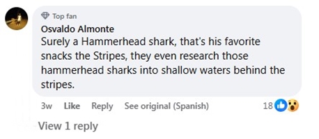 Social media comment on the post of A manta ray was filmed leaping from the water off Puerto Rico, desperately trying to escape a pursuing shark. The dramatic chase quickly went viral, stunning viewers online.