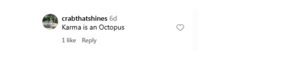 Social media comment on the post of A plane crashed into the sea after takeoff in Honduras, leaving 12 dead, five rescued, and one missing, with reports of a mechanical failure causing the tragedy.