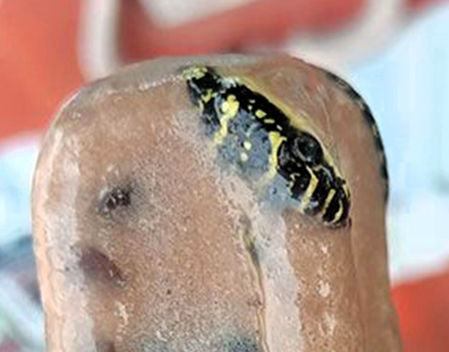 A man in Bangkok was shocked to find a dead venomous snake frozen inside his ice lolly, leaving social media users both amused and horrified by the discovery.