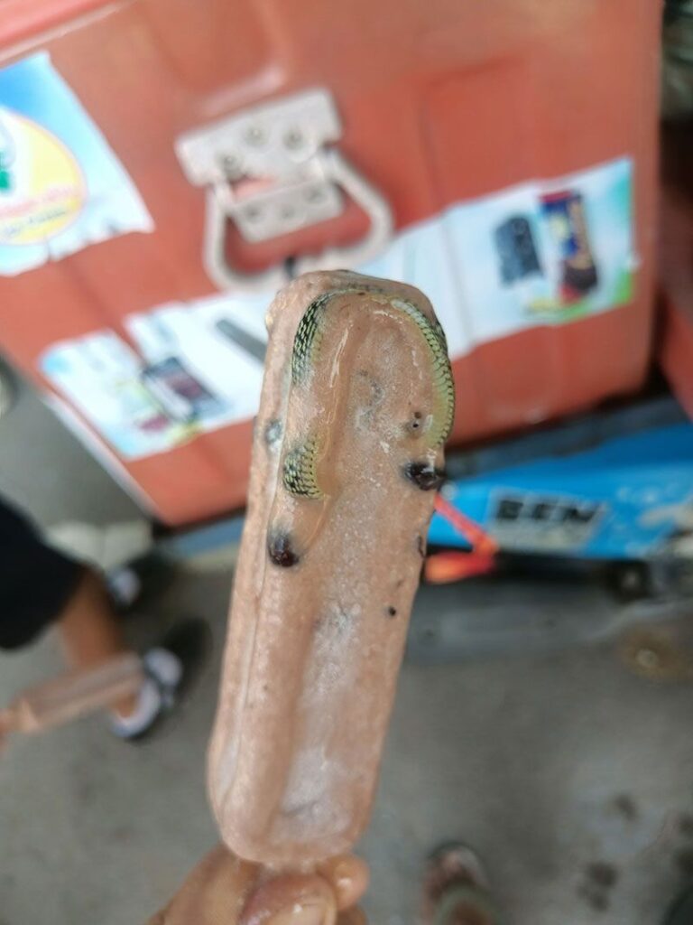 A man in Bangkok was shocked to find a dead venomous snake frozen inside his ice lolly, leaving social media users both amused and horrified by the discovery.