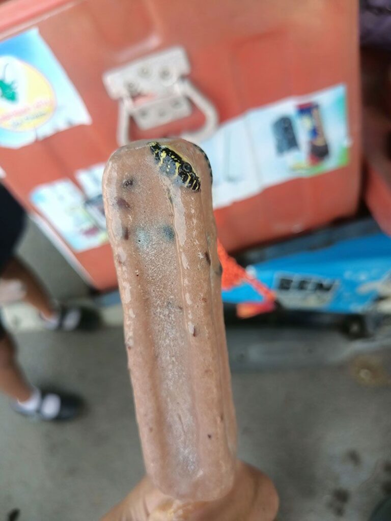 A man in Bangkok was shocked to find a dead venomous snake frozen inside his ice lolly, leaving social media users both amused and horrified by the discovery.