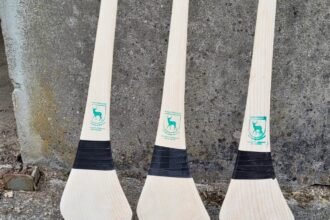 Blenheim Estate helps save Ireland’s national sport by supplying wood for thousands of hurleys amid ash dieback crisis. See how historic trees are making history!