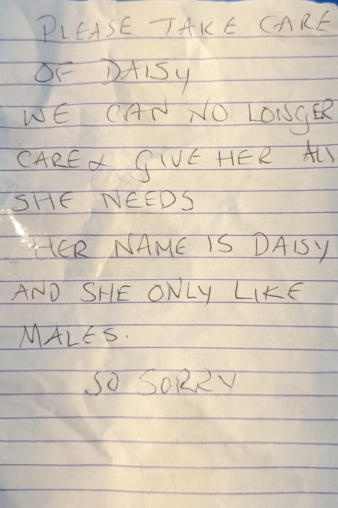 A parrot named Daisy was abandoned with a note saying she only likes men. Found with bald patches, she’s now in care as the RSPCA investigates her sad situation.