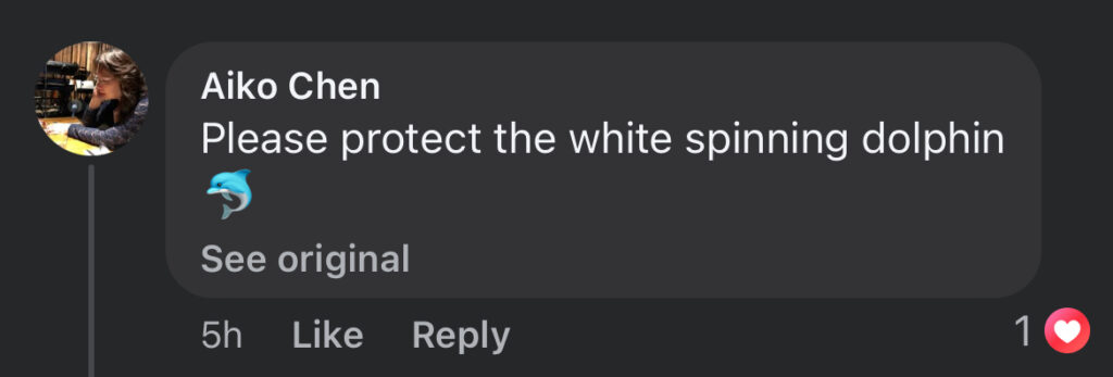 Social media comment on the post of A rare white albino dolphin was spotted near Taiwan’s Wushi Harbour, stunning tourists and sparking joy online, with experts noting the growing population in the region.