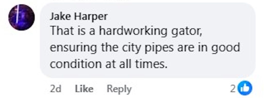 Social media comment on the post of An alligator was spotted relaxing in a Florida storm pipe during a routine inspection - delighting locals who joked the smiling gator was back on the job again.