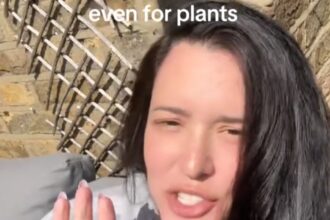 American Melissa Mendez swapped Florida for London and was stunned by the lush greenery, British banter and stoic charm - calling it a fairytale she now calls home.