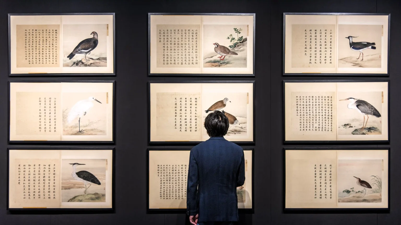 Rare bird paintings by Qing dynasty artist Jiang Tingxi, long held by a British family, sold for £780,000 after being rediscovered with original texts intact.