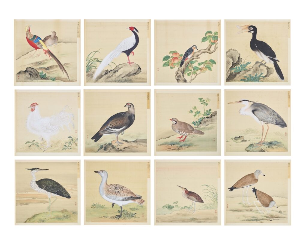 Rare bird paintings by Qing dynasty artist Jiang Tingxi, long held by a British family, sold for £780,000 after being rediscovered with original texts intact.